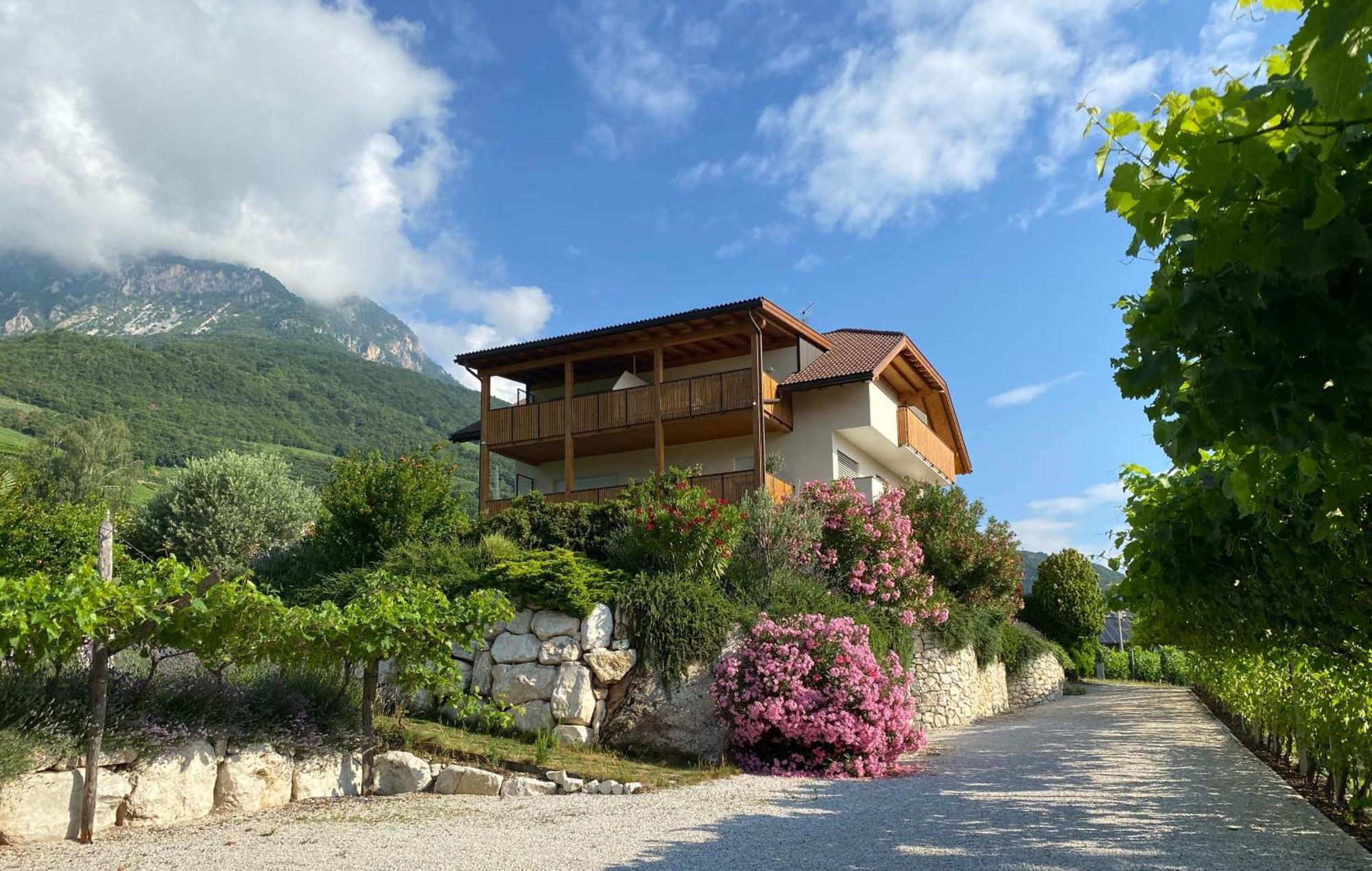 Апартаменты Sonnenhof Tramin - Adults Only Термено Экстерьер фото